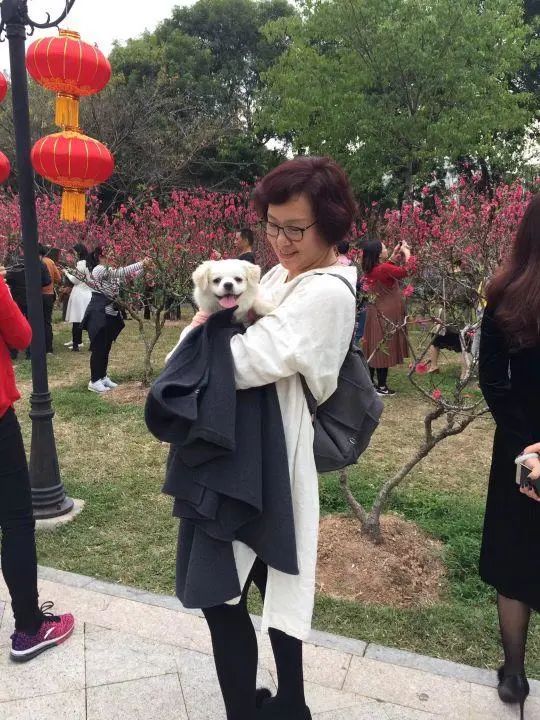 58歲的她，自駕房車旅居，一人兩犬，活成了自己喜歡的樣子